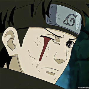 Meet your Posher, Johnathan